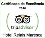 Trip Advisor